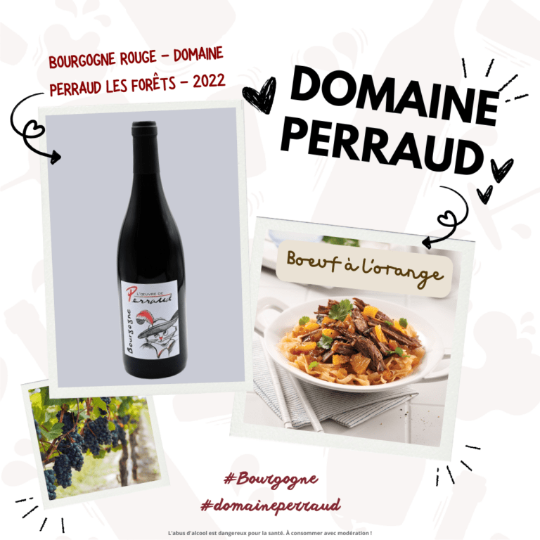 La Bourgogne avec le domaine Perraud _ l’Oeuvre de Perraud